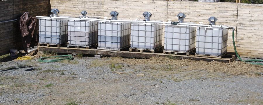A row of IBC totes for used vegetable oil on pallets in a gravel yard